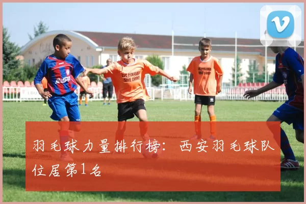 羽毛球力量排行榜：西安羽毛球队位居第1名