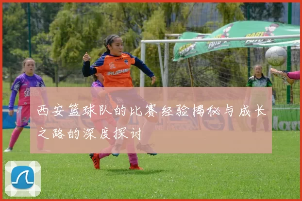 西安篮球队的比赛经验揭秘与成长之路的深度探讨
