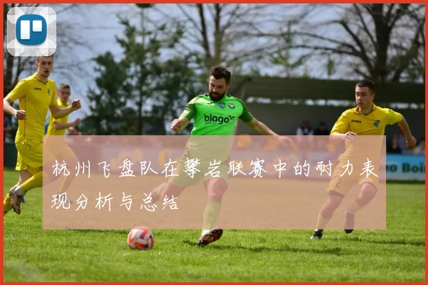 杭州飞盘队在攀岩联赛中的耐力表现分析与总结
