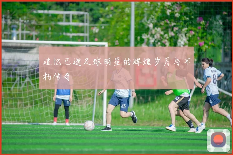 追忆已逝足球明星的辉煌岁月与不朽传奇