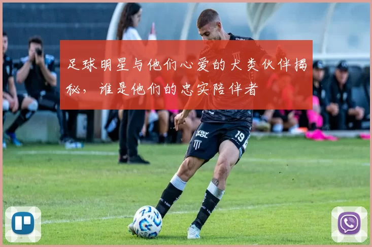 足球明星与他们心爱的犬类伙伴揭秘，谁是他们的忠实陪伴者