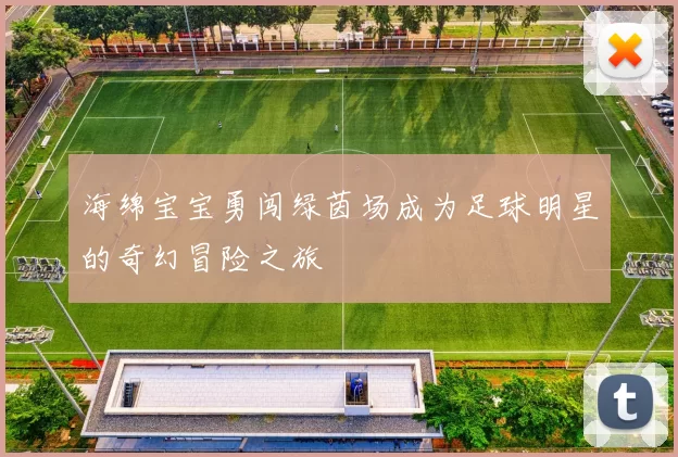 海绵宝宝勇闯绿茵场成为足球明星的奇幻冒险之旅