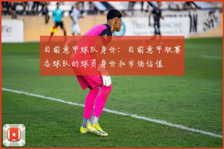 目前意甲球队身价：目前意甲联赛各球队的球员身价和市场估值