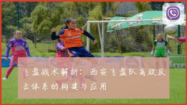 飞盘战术解析：西安飞盘队高效反击体系的构建与应用
