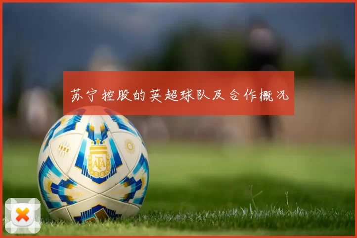 苏宁控股的英超球队及合作概况