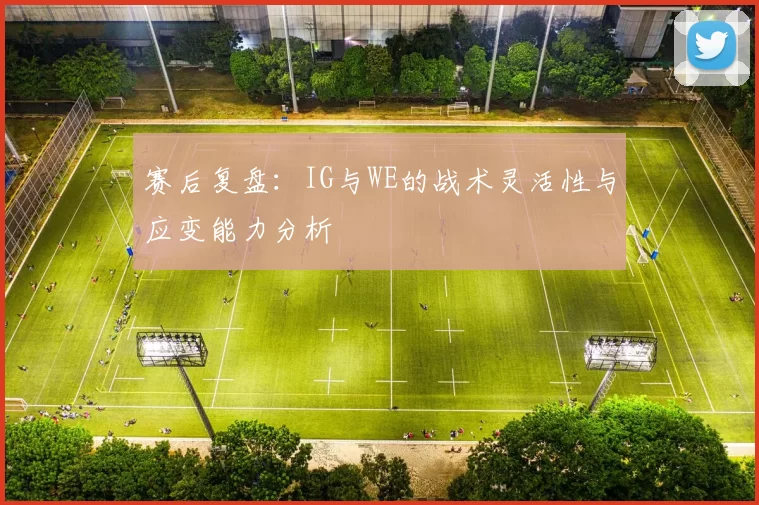赛后复盘：IG与WE的战术灵活性与应变能力分析