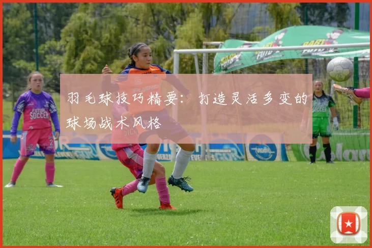 羽毛球技巧精要：打造灵活多变的球场战术风格
