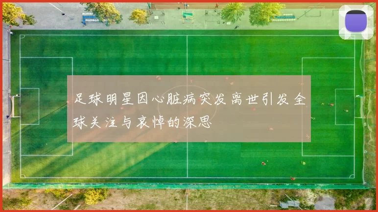 足球明星因心脏病突发离世引发全球关注与哀悼的深思