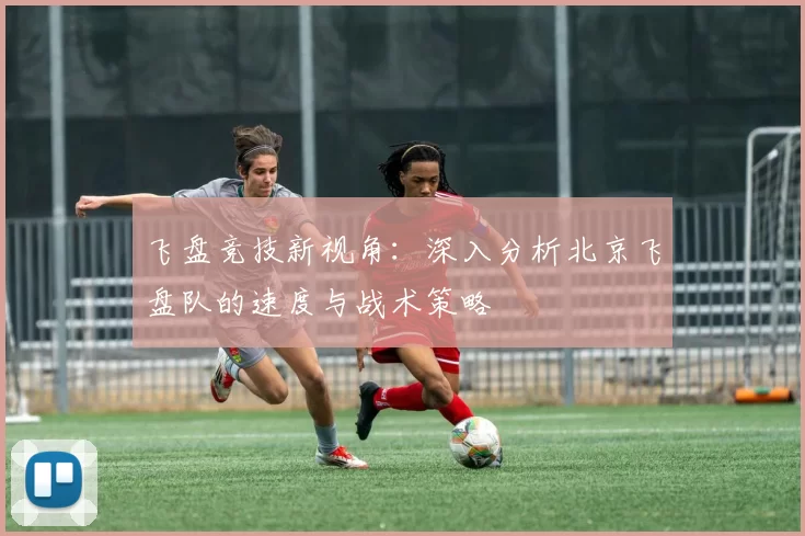 飞盘竞技新视角：深入分析北京飞盘队的速度与战术策略