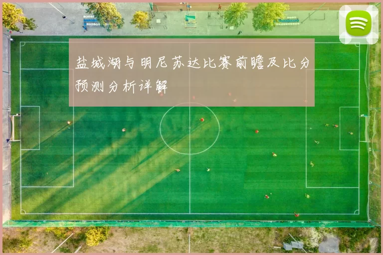 盐城湖与明尼苏达比赛前瞻及比分预测分析详解