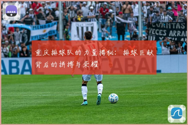 重庆排球队的力量揭秘：排球巨献背后的拼搏与荣耀