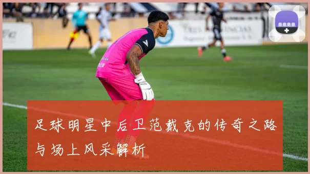 足球明星中后卫范戴克的传奇之路与场上风采解析