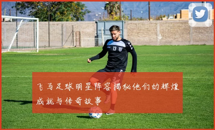 飞马足球明星阵容揭秘他们的辉煌成就与传奇故事