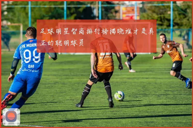 足球明星智商排行榜揭晓谁才是真正的聪明球员