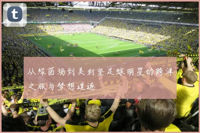 从绿茵场到美利坚足球明星的跨洋之旅与梦想追逐