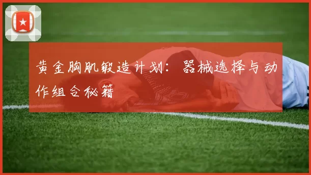 黄金胸肌锻造计划：器械选择与动作组合秘籍