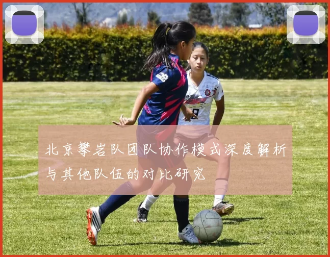 北京攀岩队团队协作模式深度解析与其他队伍的对比研究