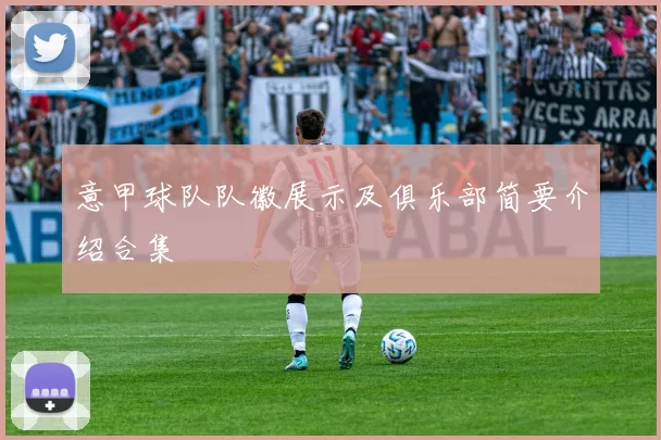 意甲球队队徽展示及俱乐部简要介绍合集